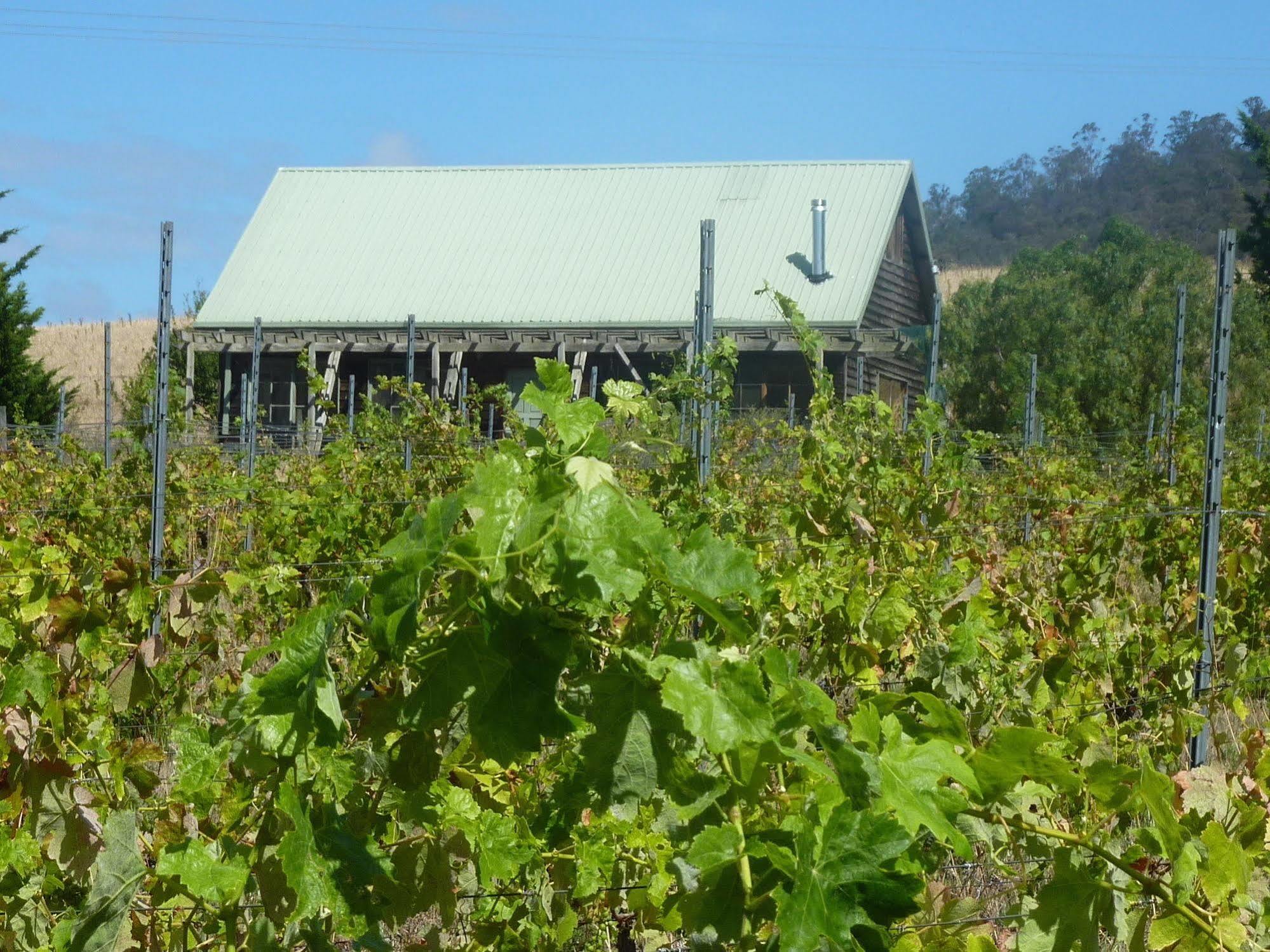 Charles Reuben Estate Vendégház Hobart Kültér fotó